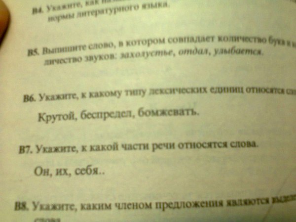 Решили полистать тест по русскому языку для младших классов)) Чему учат детей? - Моё, ЕГЭ, Тест, Круто, Беспредел, Бомж, Учеба, Русский язык, Россия