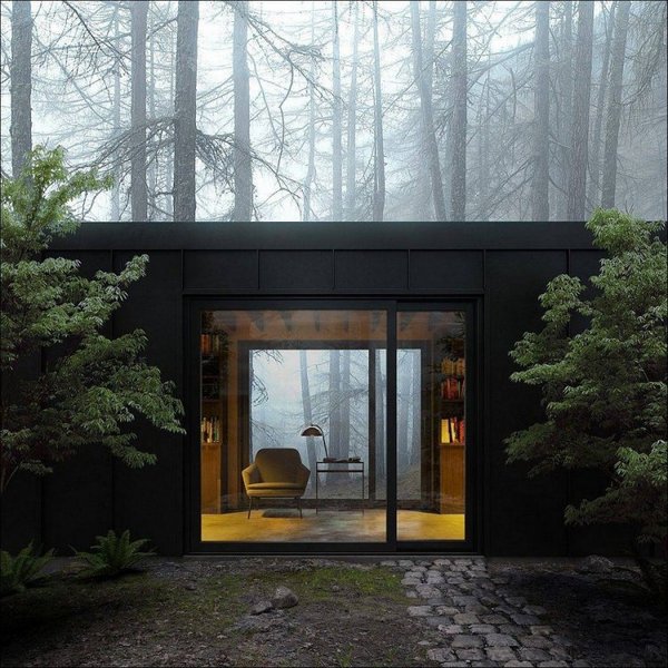 House in the woods - House, Interior, Forest, Photo