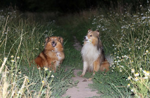 ����� � ���������