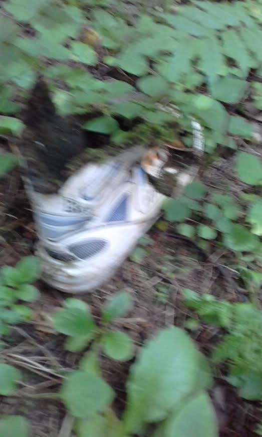 Briefly about mushroom hunting - My, Porcini, Roots, Stepchildren, Boots, Forest, , Photo, Text, Longpost