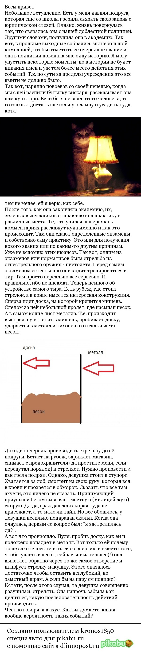 Случай в тире - Полиция, Длиннопост, Истории из жизни, Стрельба