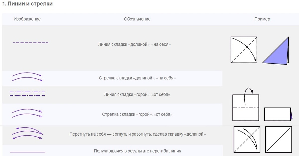Линии сгиба на изображении обозначают