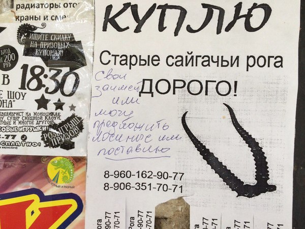 ����� ���� ���������� ���� ������...