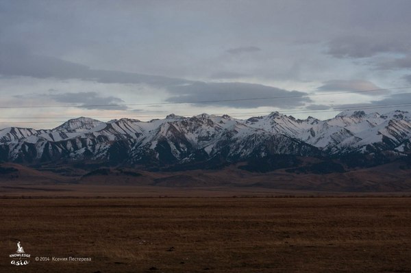 How we experienced the conditions of the ancient Kazakhs - My, Travels, Bonfire, Kazakhstan, Kyrgyzstan, Savvy, Horses, The border, Feces, Longpost