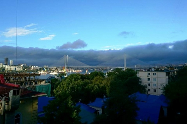 Typhoon Lionrock in Primorsky Krai - Typhoon, , Vladivostok, Primorsky Krai, Destruction, Longpost