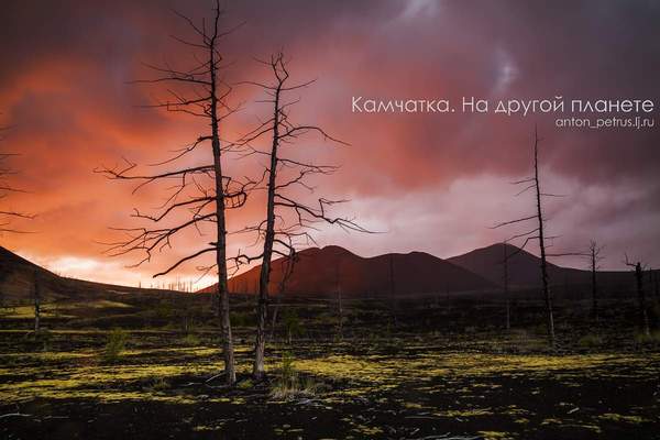 Камчатка. На другой планете. - Камчатка, Фотография, Природа, Вулкан, Длиннопост, Красота, Не мое