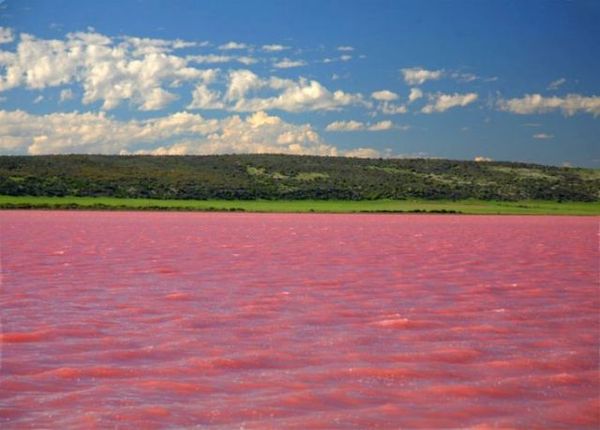 Unusual lake. - Altai, The nature of Russia, Longpost, Altai Republic, raspberry lake