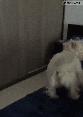  , !