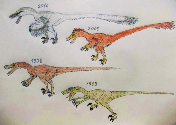 Velociraptor evolution - Velociraptor, Dinosaurs, Paleontology, Feathers