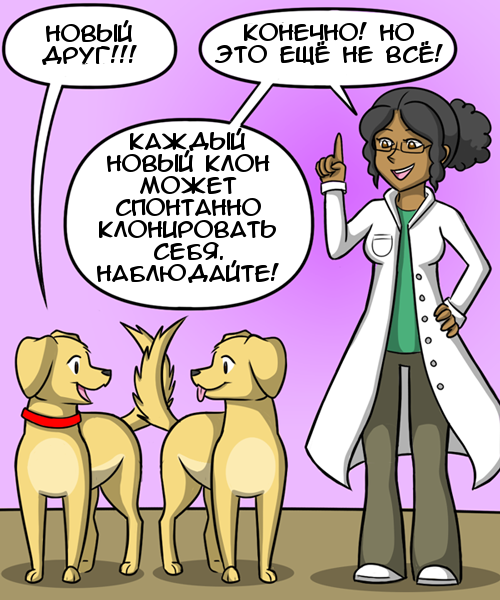 Infinite friends - Comics, GIF with background, Kat swenski, Dog, Friends, GIF, Longpost