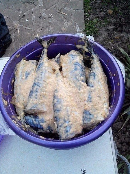 Mackerel on the grill - My, Cooking, Preparation, Recipe, A fish, , Longpost