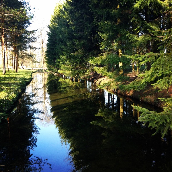 Catherine Park, Pushkin - My, Within Pushkin, Catherine Park, The photo, Nature