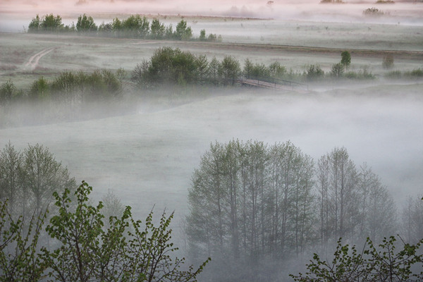 Thick fog outside the city. 5:29 am - Fog, View from the window, My, Landscape, Photo