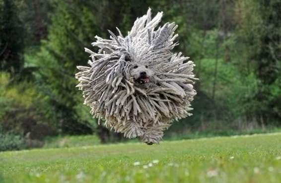 ������ �� �������