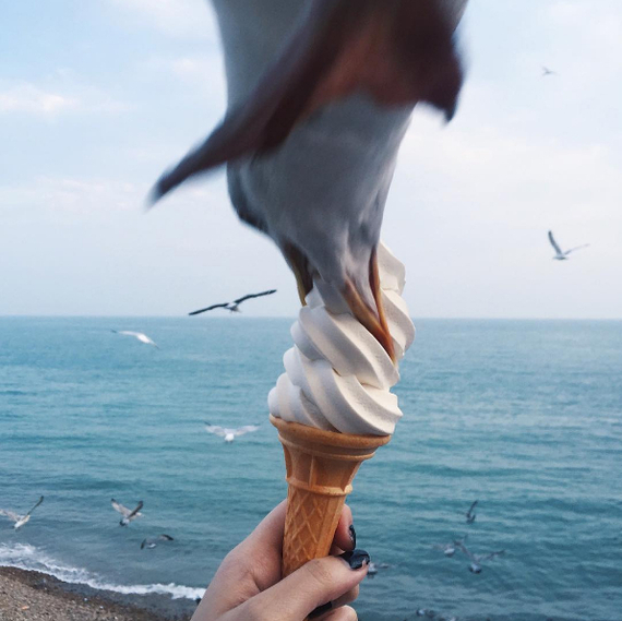 Don't click your beak among the seagulls. - Photo, Per second, Gull, A second before