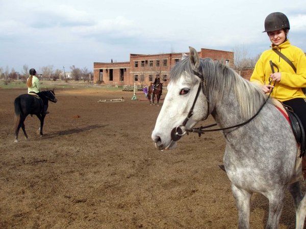 What was my equestrian club like ten years ago? - My, Nostalgia, Memories, Stable, Horses, Horses, Клуб, Longpost