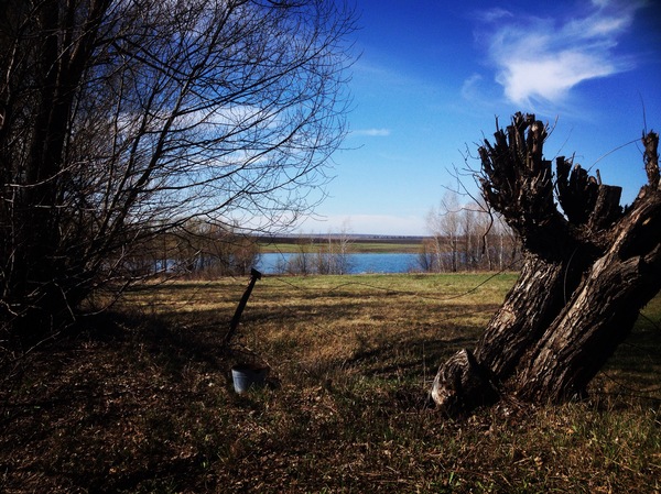 A bit of the Ryazan region - My, Photo, Russia, Ryazan Oblast, Lake, Longpost