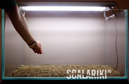 Aquarium substrate recipe - Aquarium, With your own hands, Priming, Angelfish, Scalariki, Longpost