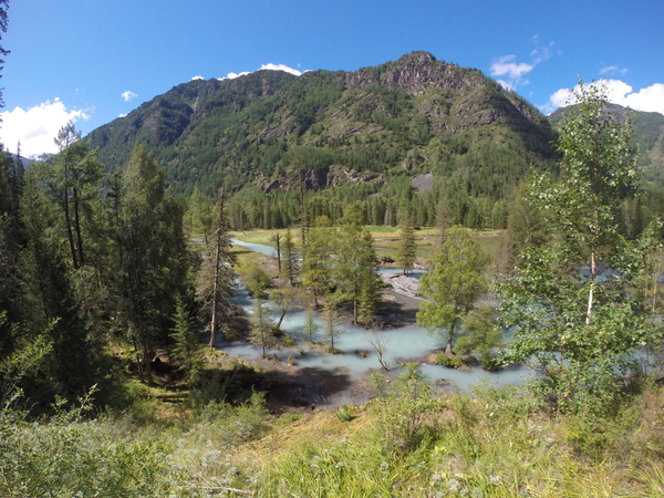 Altai, Kucherlinskoe gorge - My, Altai, , Nature, beauty, Altai Republic