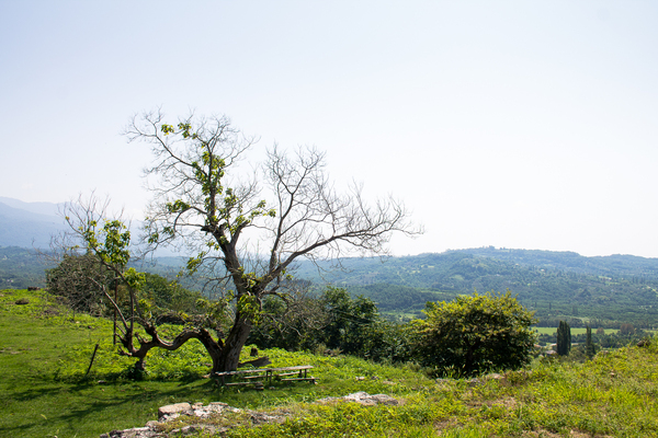 Abkhazia, Ochamchira region. Another Abkhazia. - My, Abkhazia, Vacation, Travels, Excursion, Photo, Photographer, Nature, Longpost