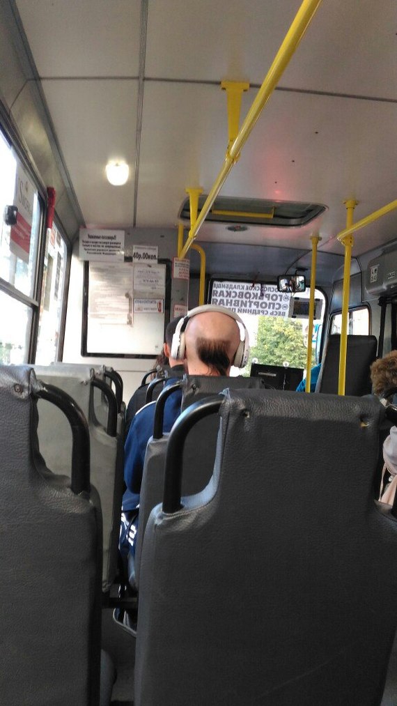 When I asked the hairdresser to trim only the tips - Прическа, Bus, Hair