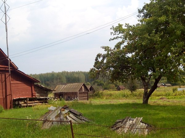 Деревенский колорит. Брянская область. - Длиннопост, Брянская область, Провинция, Глубинка, Моё, Россия, Путешествия