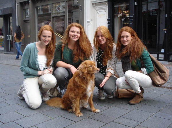 Not a single soul in the photo - Redheads, Dog, Girls, Reddit