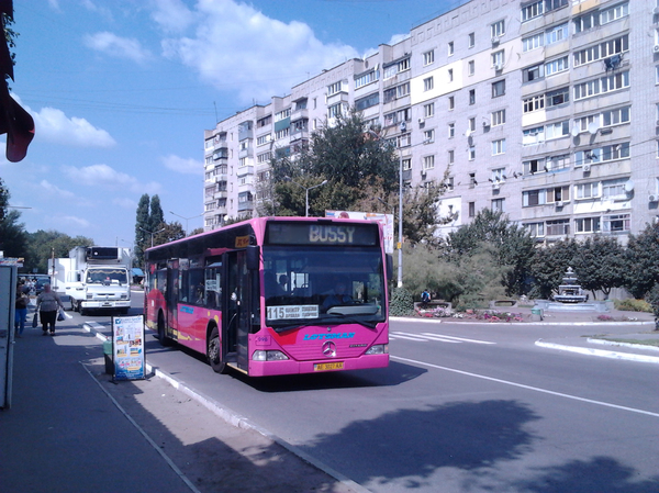 Bussy - My, Bus, Pussy, Pink