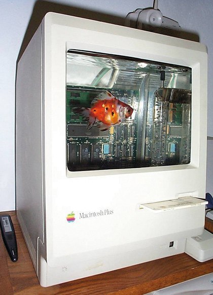 We continue the topic: What can be done from an old computer?) - Apple, Aquarium