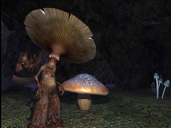 mushroom village. Start - My, Mushrooms, Village, Muhosransk, Kingdom, Fantasy, Fly agaric, , Game of Thrones