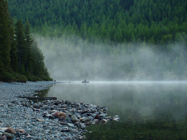 Altai. Morning. - My, Altai, Lake, Forest, Fog, Altai Republic