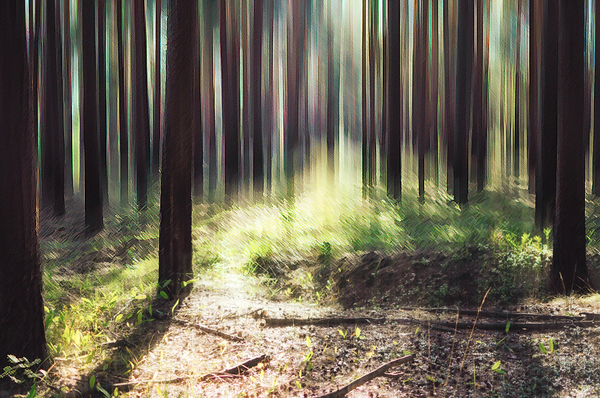 ���� � ����