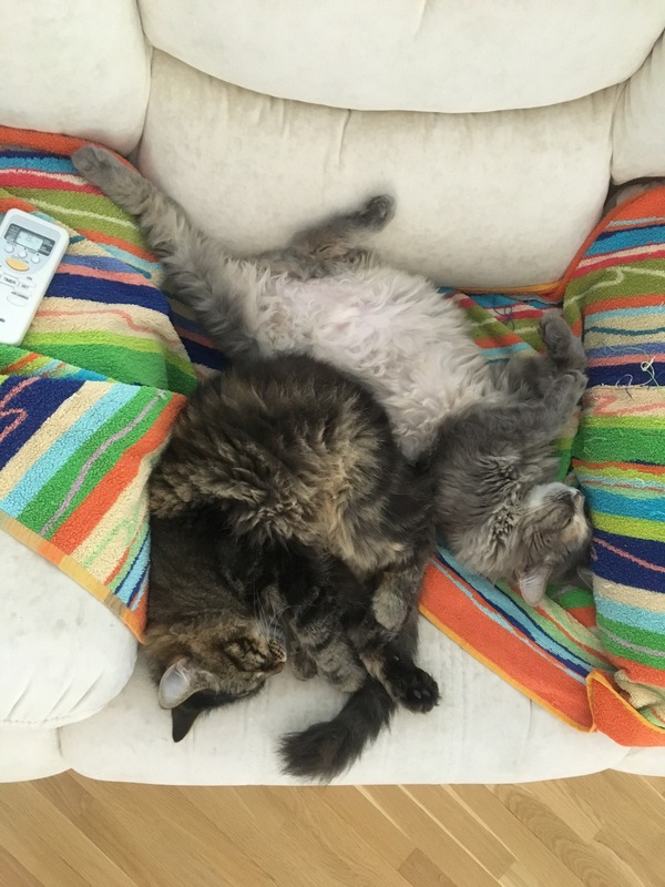   , , -, , -, , , 