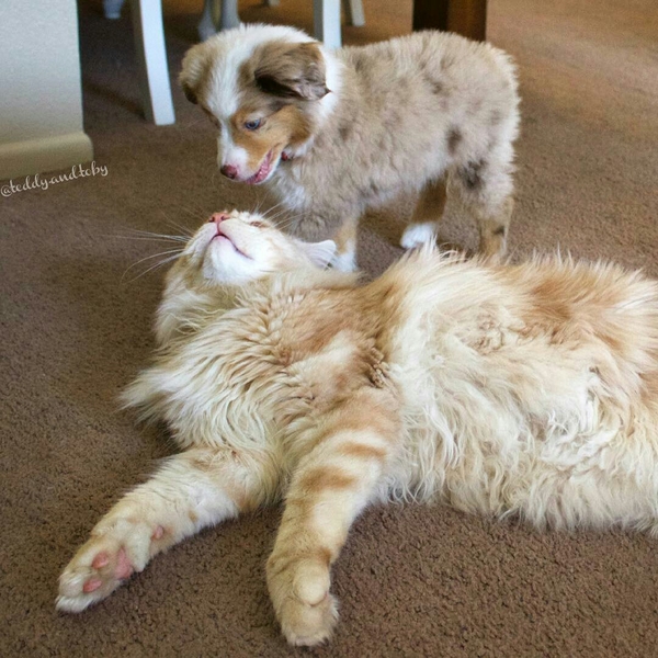 ���� ����, � �������� ��� ���-������ ��� ��� ������ ������������...