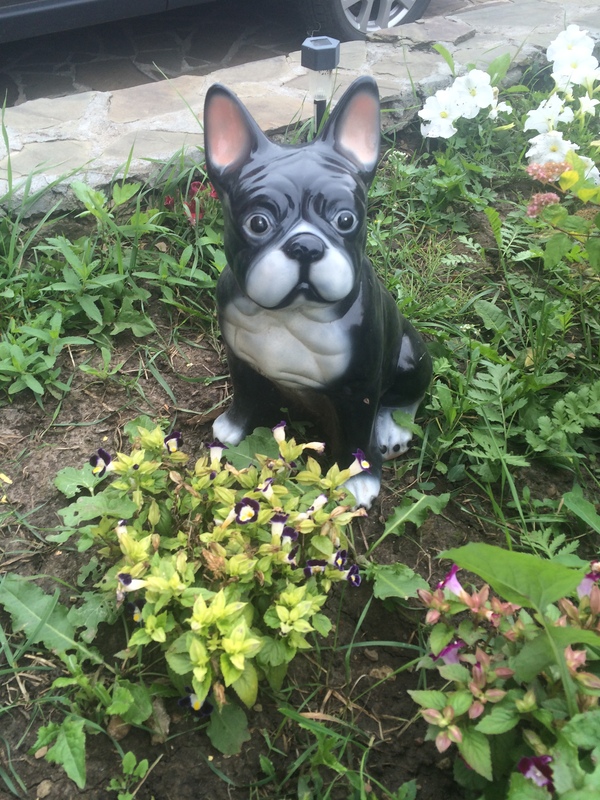 This dog has seen some shit - Garden figures, My, Dog