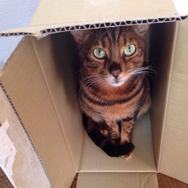 ���� ������, � ����, � ��� �� ������� �����...