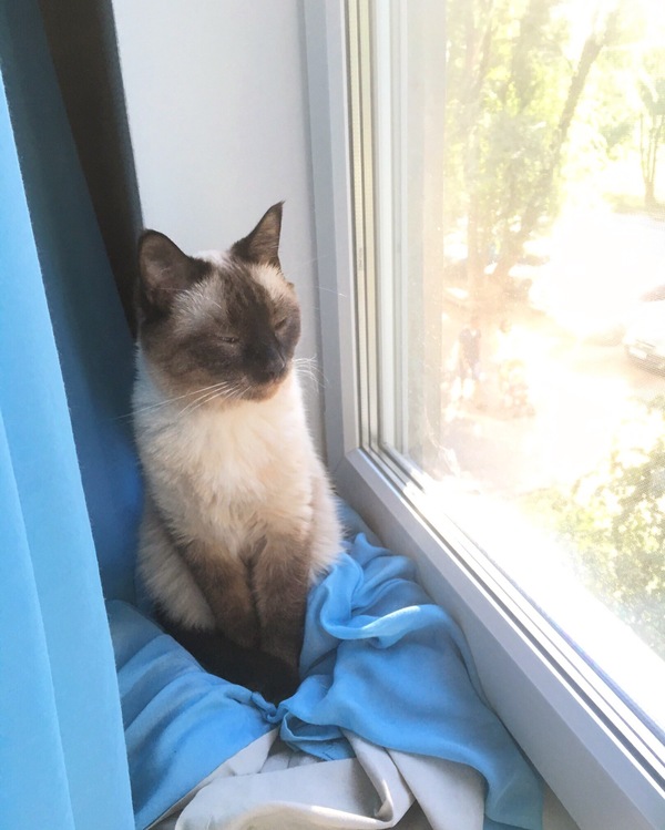 ������ ����� ������� ��������� �� ��������� ������ ���