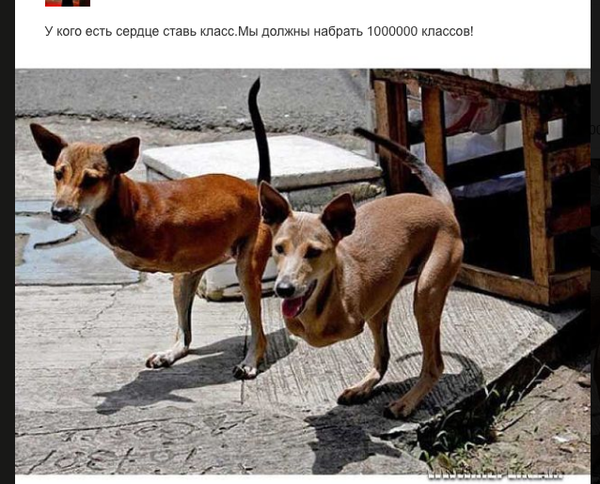 У меня просто нет слов))))