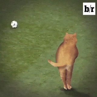       !