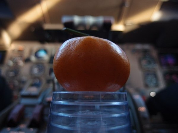 When you want a new year - Tangerines, Cockpit