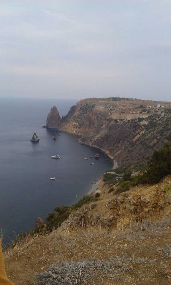 We are sitting on Cape Fiolent, Crimea, and here, out of nowhere .. - My, cat, Crimea, Sevastopol, Photo, Longpost