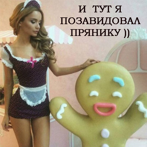 That moment when you envy the gingerbread :)) - Jokes of COP Go, Images, Humor, Handsome, Heifer