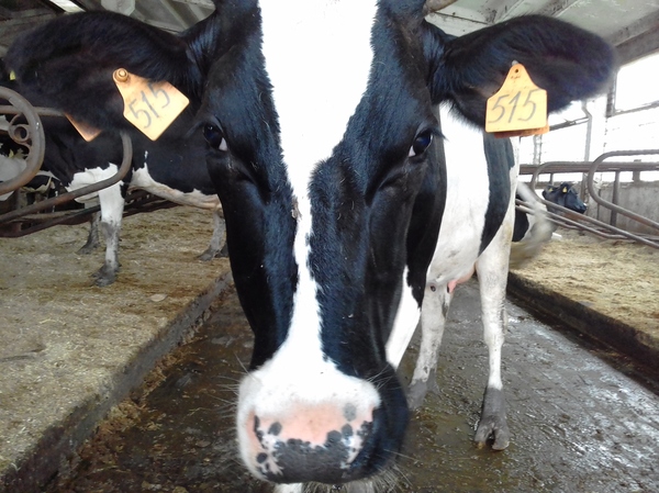 В копилку фоток с работы