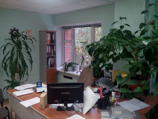 Okay, persuaded, here is my workplace. - My, Work, Surgut