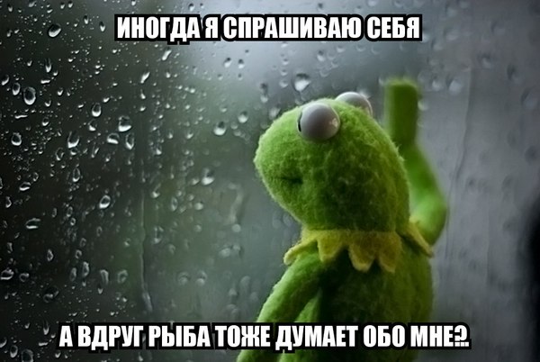 Может оживим сообщество, покажем друг другу наши аквариумы? - Аквариум, Аквариумистика, Лягушки