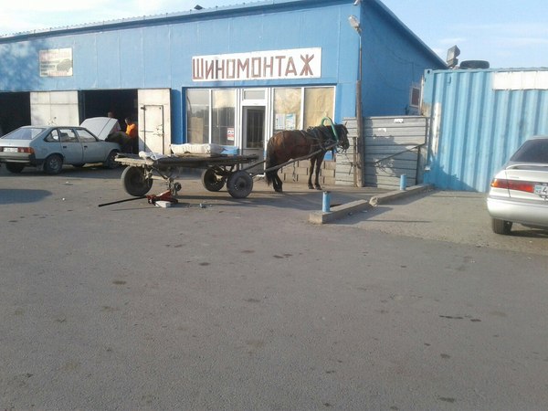 Pit stop - Tire service, Kazakhstan, Horses