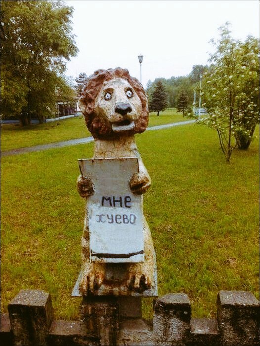 Houston, we have a problem! - a lion, Russia, Mat