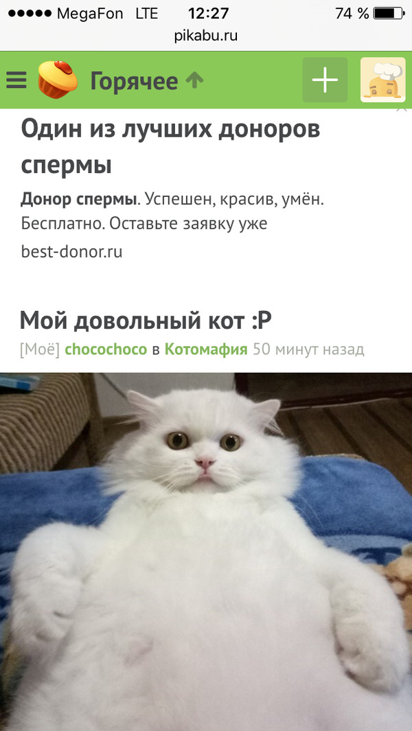 ����������? �� �����...