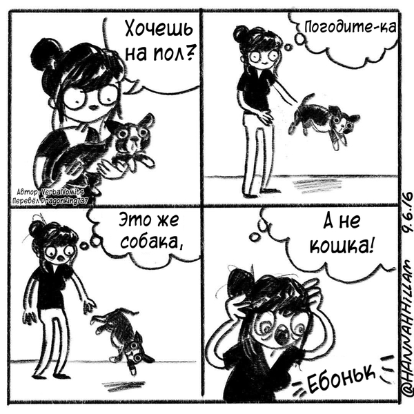 The error came out - Comics, , Tag, Dog, cat