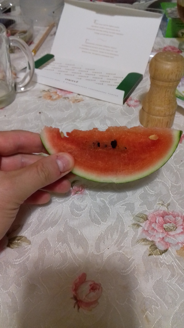 They gave me watermelon... - My, Watermelon, Arkhangelsk, King-size, Longpost, Humor